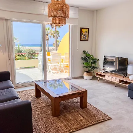 Cozy House Palm